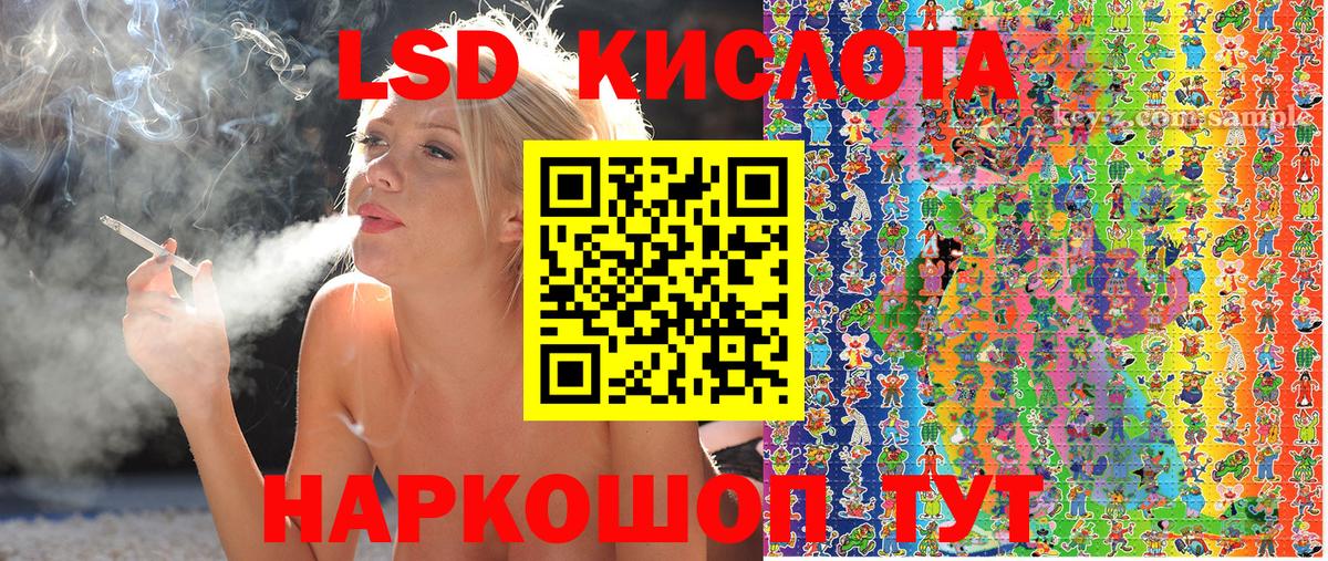 Марки N-bome 1500мкг  Марки N-bome 1500мкг  Вход с VPN  Лесной 