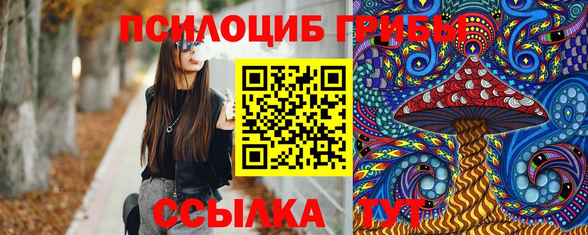 Псилоцибиновые грибы Psilocybe  Вход с VPN  Лесной 
